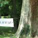 21ème Tournoi en plein-air