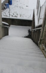 20091218_neige_001.JPG